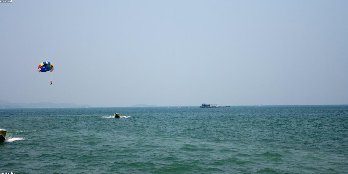 กัปตันเรือสปีดโบ๊ทมืออาชีพ
